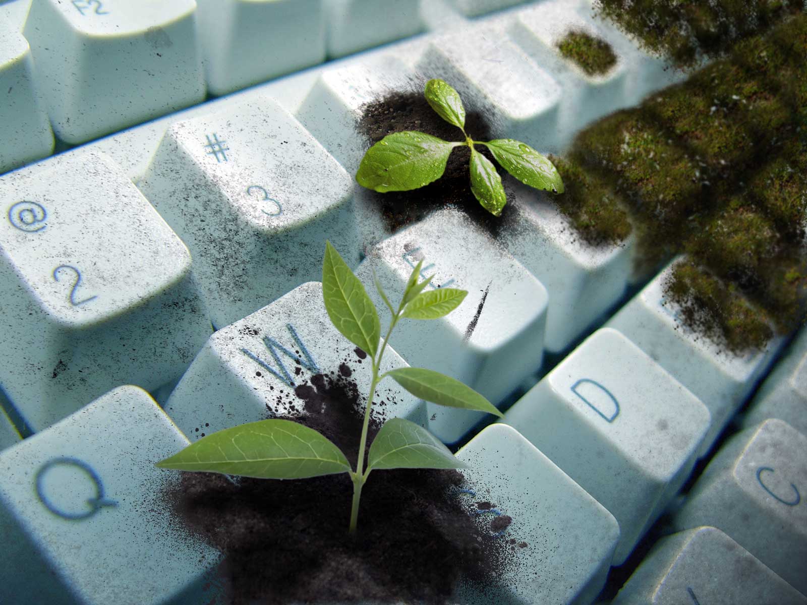 clavier nature technologie