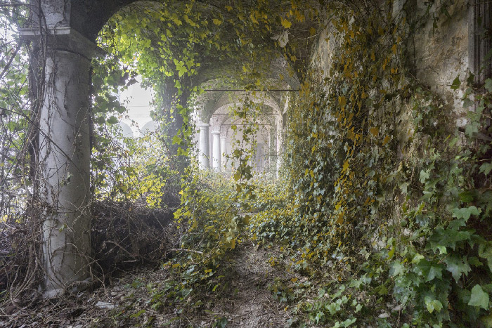 nature ville reprend ses droits